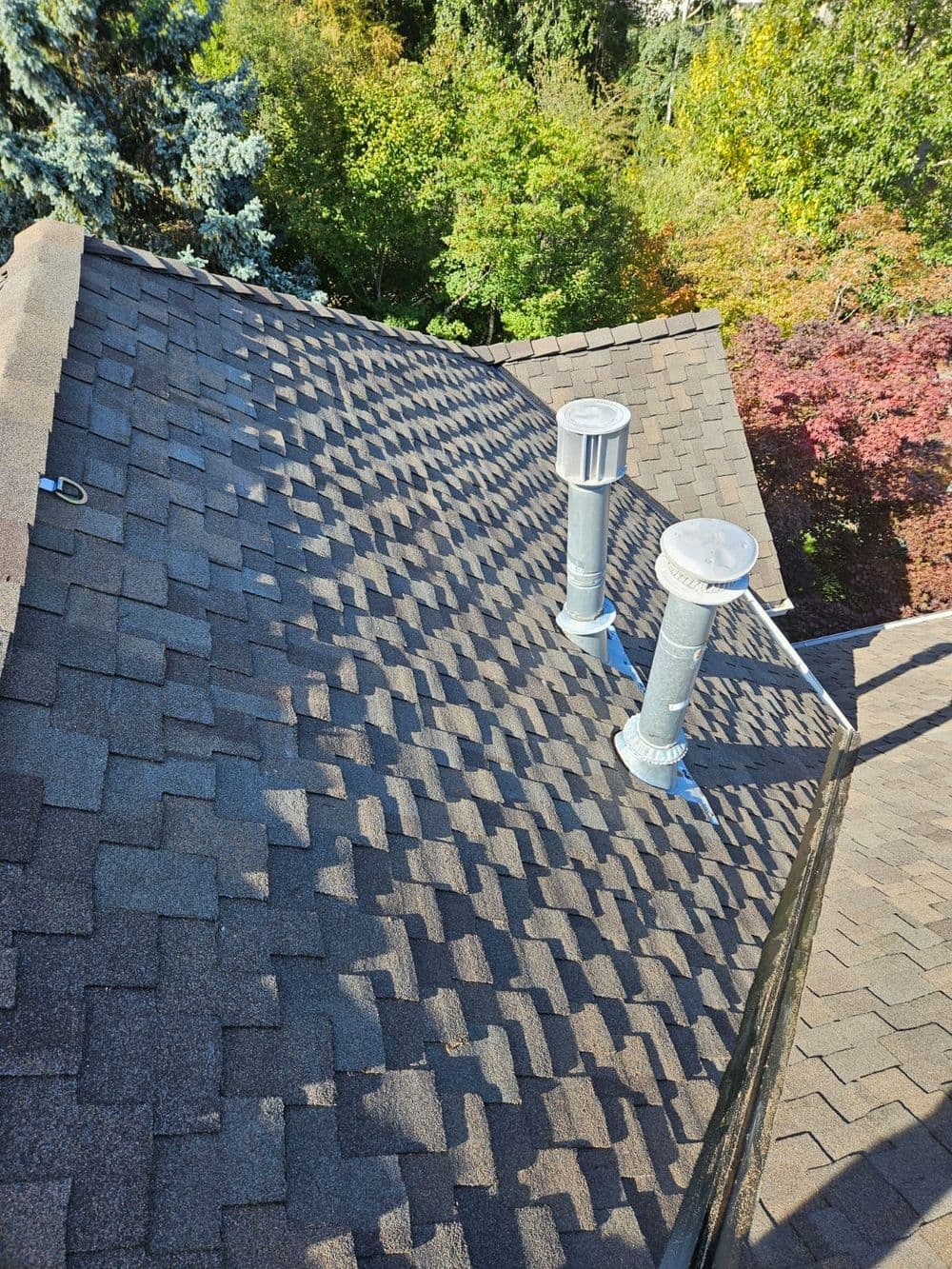 Roof with asphalt shingles and ventilation pipes surrounded by trees and foliage.