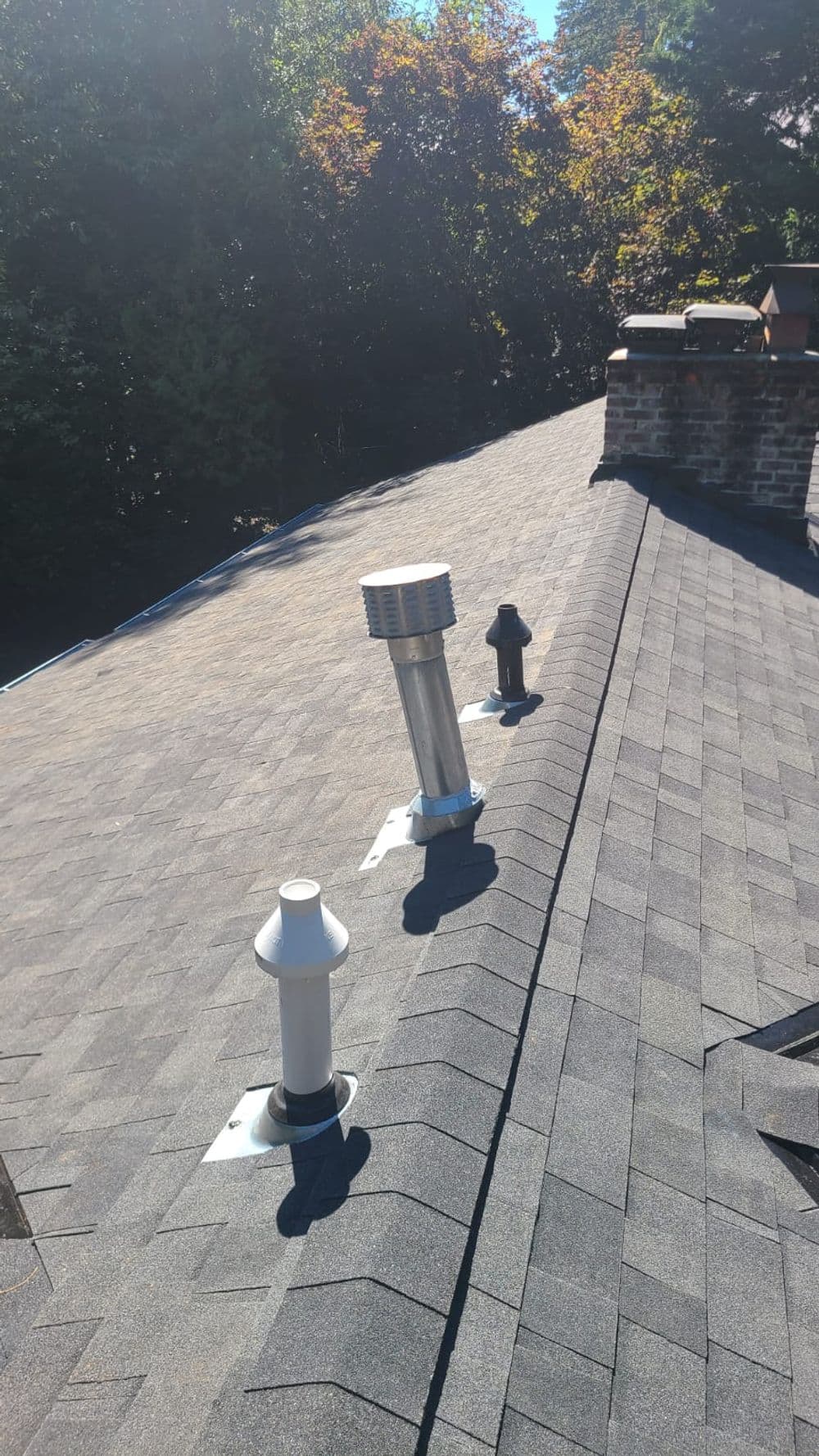 Roof with multiple vent pipes, showcasing a sloped asphalt shingle design amid greenery.