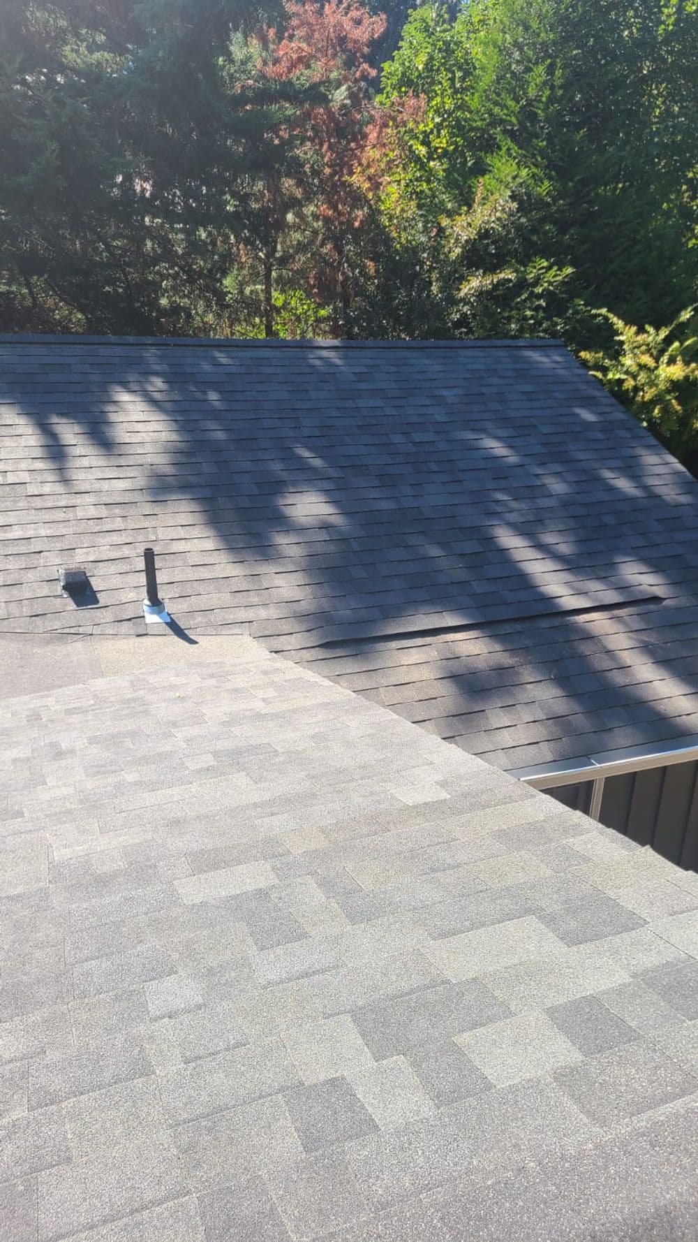 Aerial view of a gray shingle roof surrounded by lush green trees.