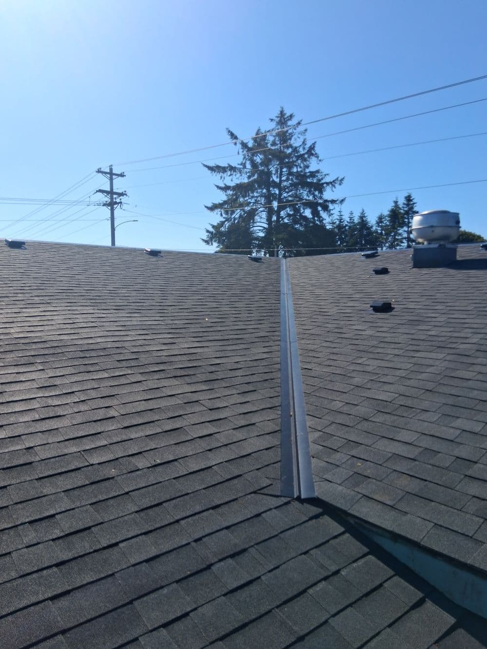 Roof view showcasing shingles, ridge, and surrounding trees under a clear blue sky.