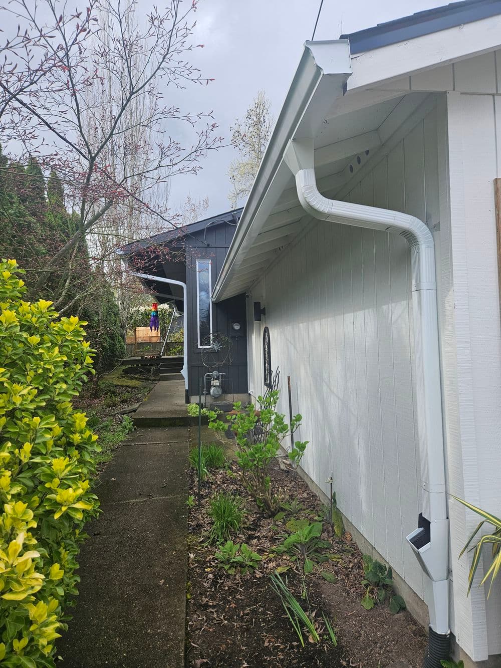 Side view of a house featuring a clean gutter system and landscaped walkway.