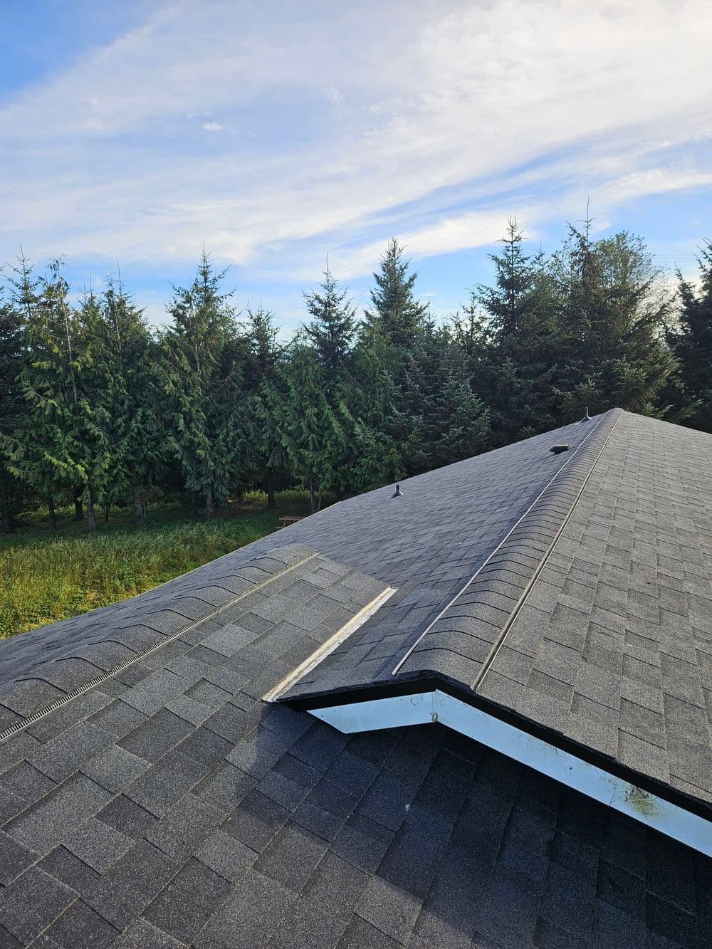 View of a sloped asphalt shingle roof with pine trees in the background under a blue sky.