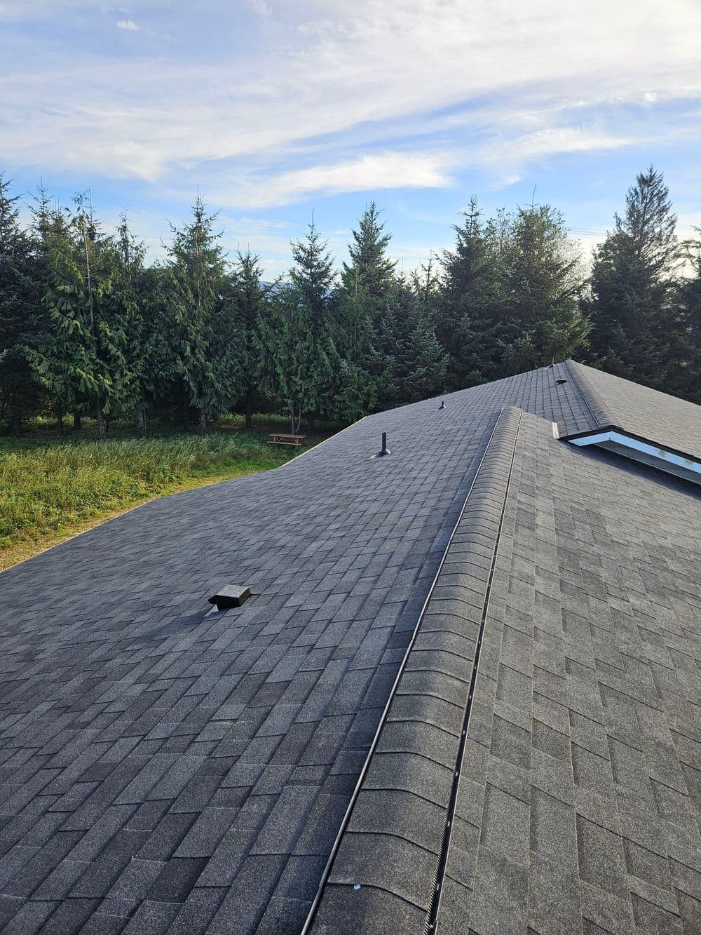 Roof view with asphalt shingles, surrounded by green trees under a clear sky.