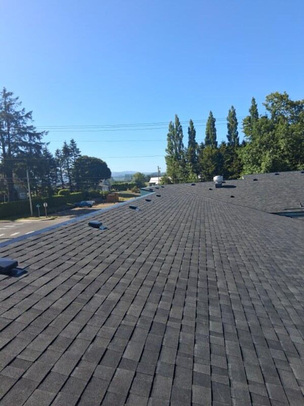 View of a residential rooftop with shingles, surrounded by trees and a clear blue sky.