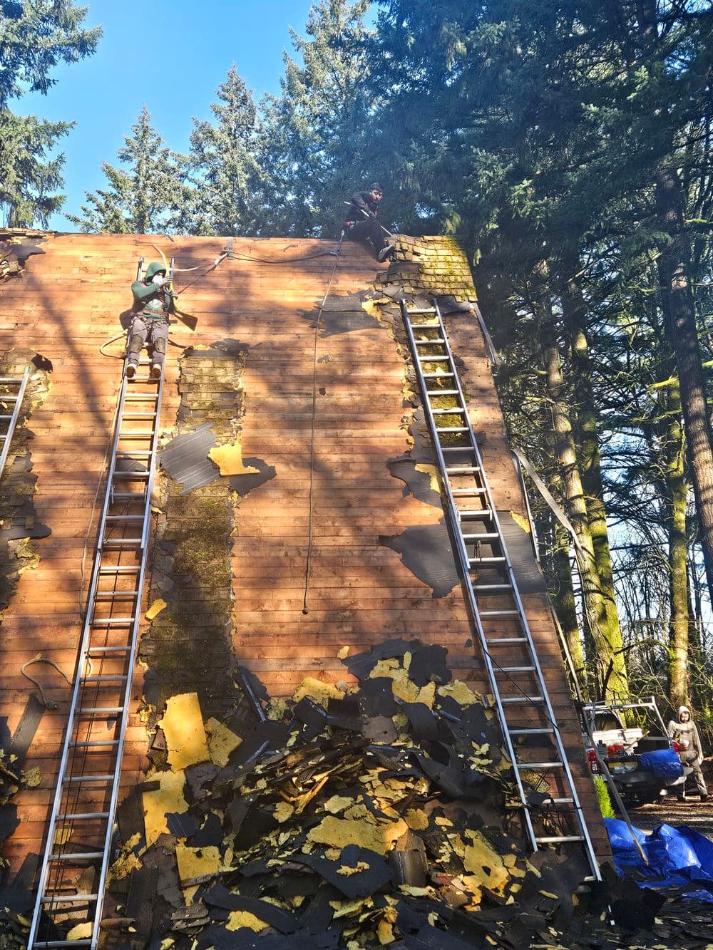Workers removing exterior siding from a building using ladders in a forested area.