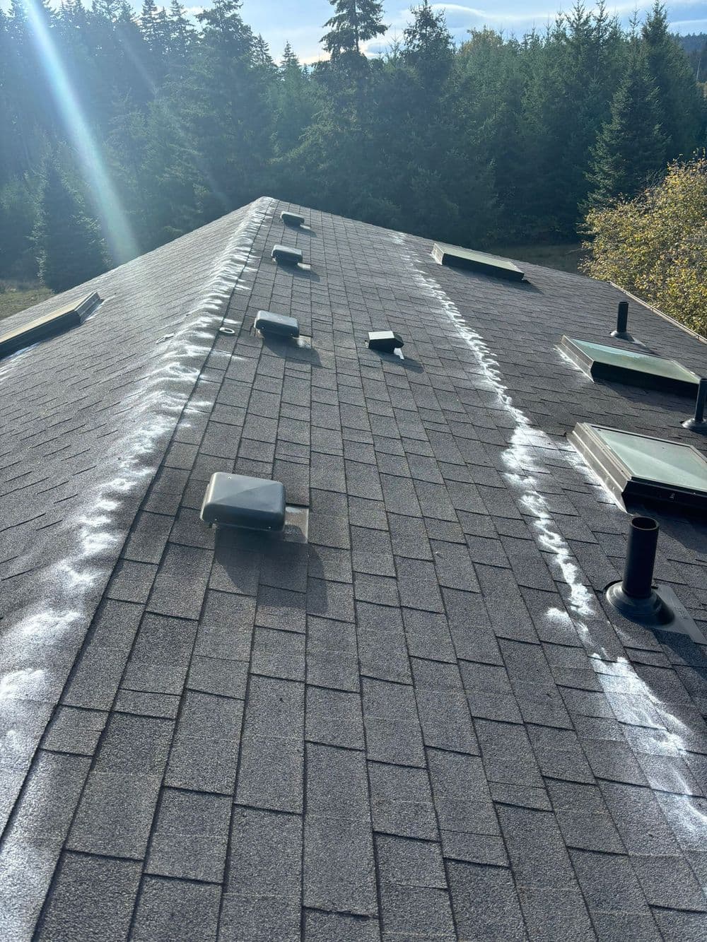 Roof Maintenance image