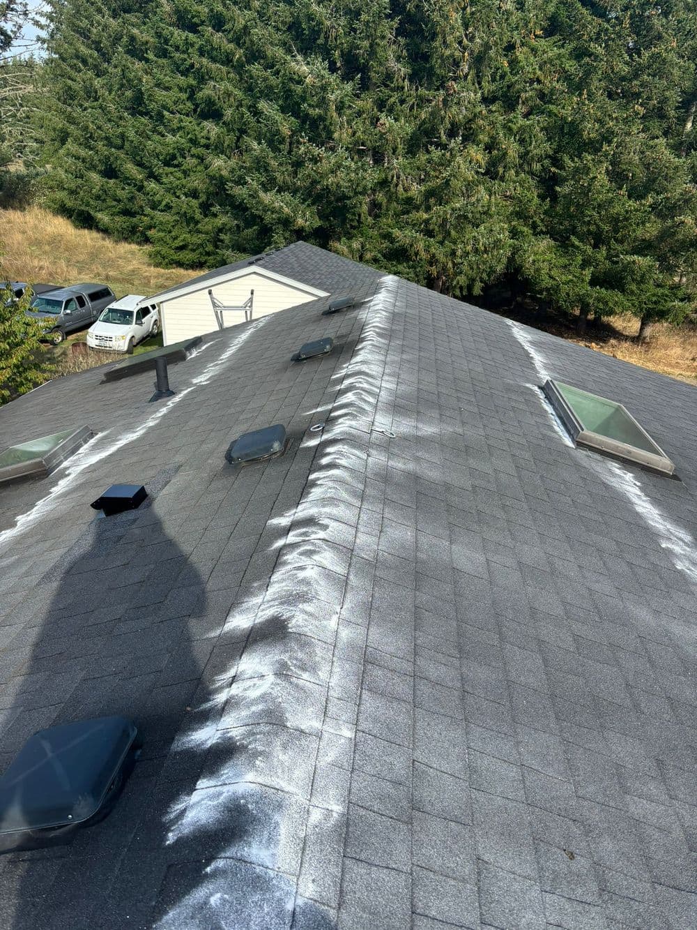Aerial view of a gray roof with skylights and trees in the background.