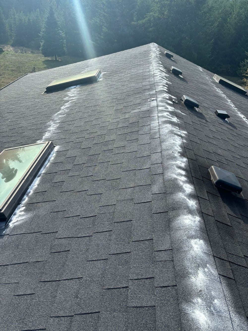 Roof with skylights, showing wear patterns and forested backdrop under sunlight.